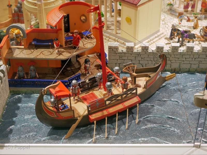 T110 rom-P2580735.JPG